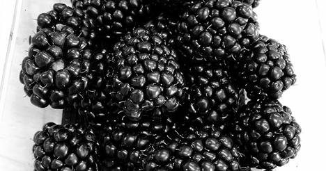 Gute Werte für "Von"-Brombeeren wegen des Aromas, Ertrages und der